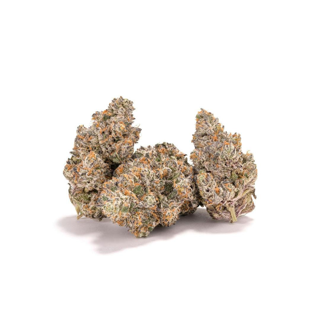 KAI | White Lightning Bulk Flower