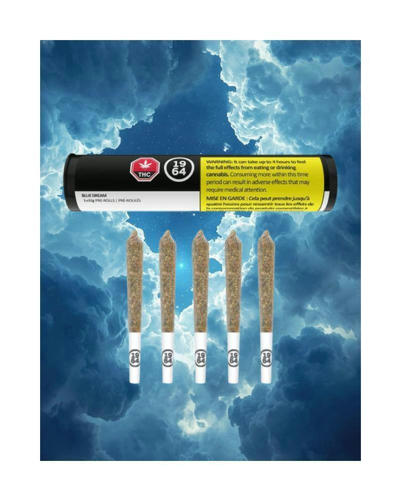 Blue Dream Pre-Rolls | 5 x 0.5g