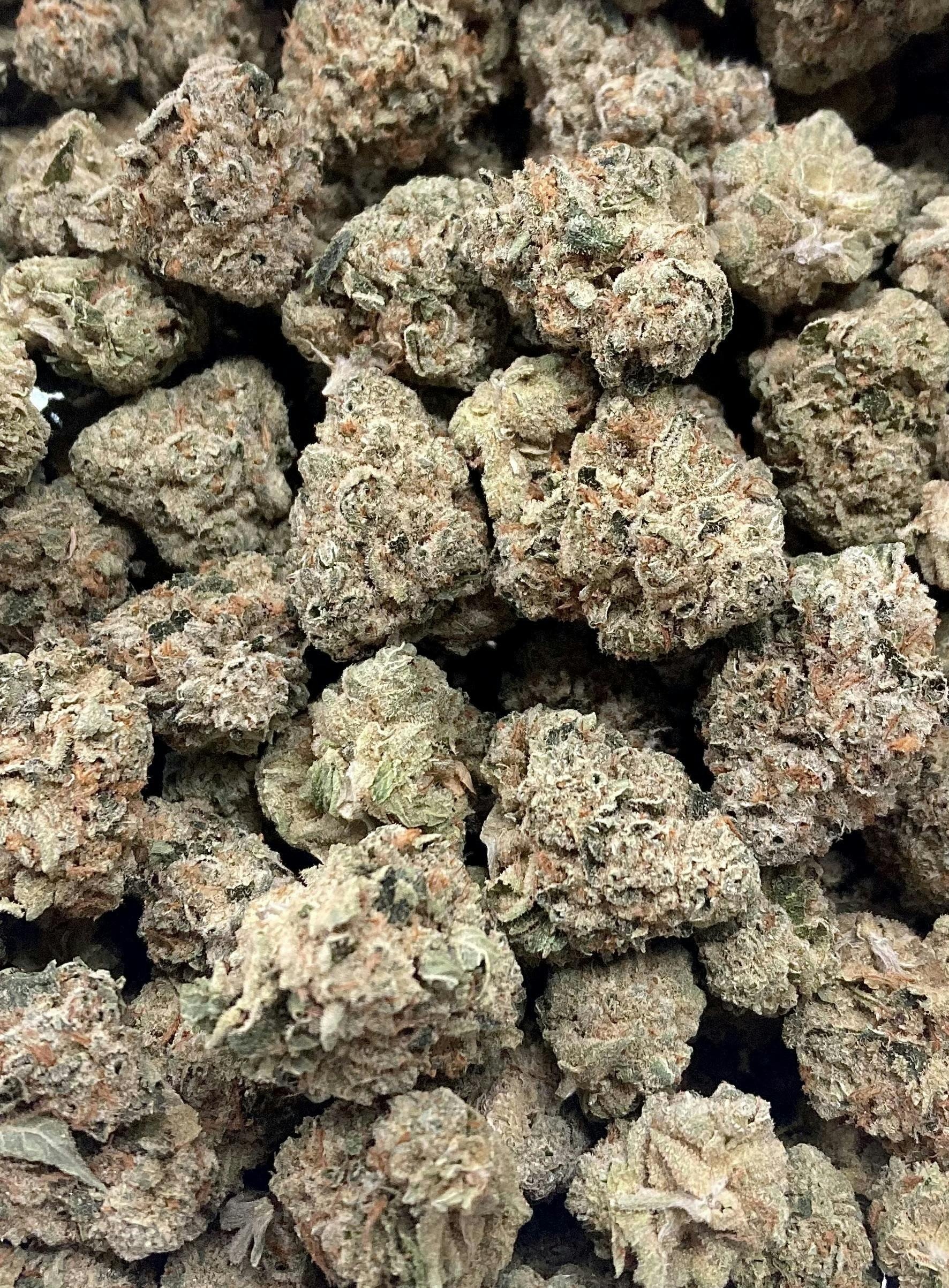GREENCRAFT I SPARKLE FACE I BULK FLOWER