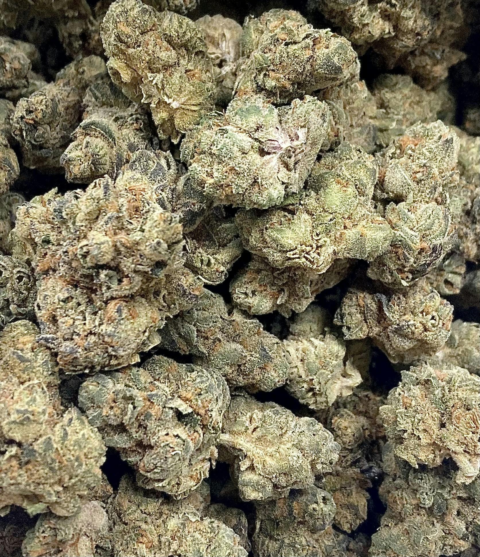 GREENCRAFT I CADILLAC RAINBOWS I BULK FLOWER
