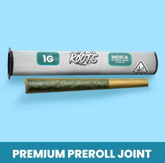 City Roots | Northern Lights | Joint | 1g
