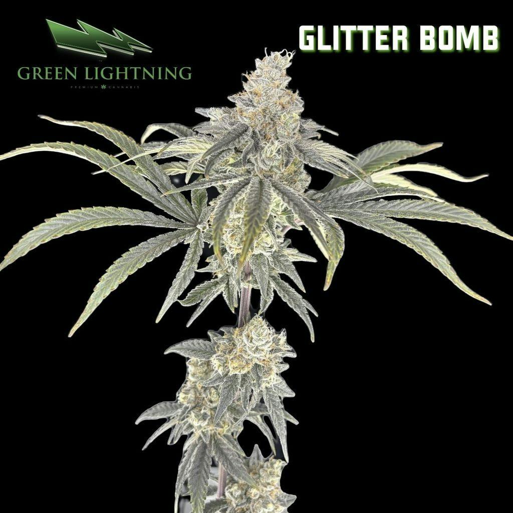 Green Lightning Glitter Bomb Whole Buds 3.5g