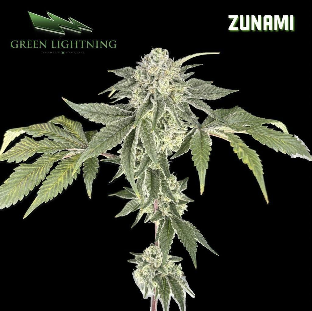 Green Lightning Zunami Whole Buds 3.5g