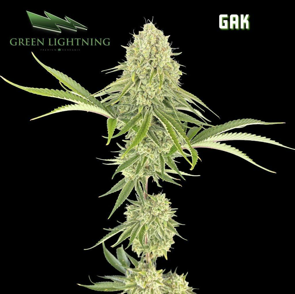 Green Lightning GAK Whole Buds 3.5g