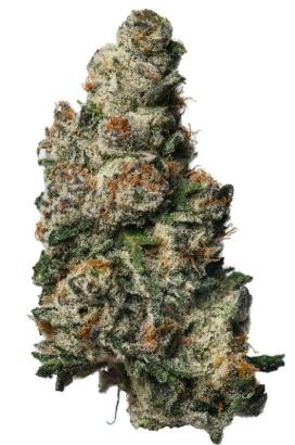 Biss Vice City Whole Buds 3.5g