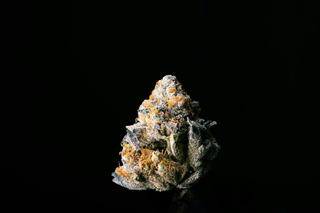 Allday Limesicle Whole Buds 3.5g