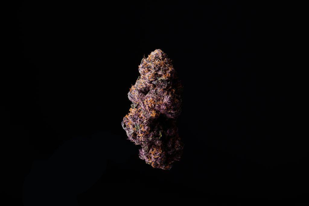 Knucklehead Negroni Mixed Buds 7g