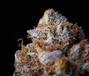 Allday Limesicle Whole Buds 7g