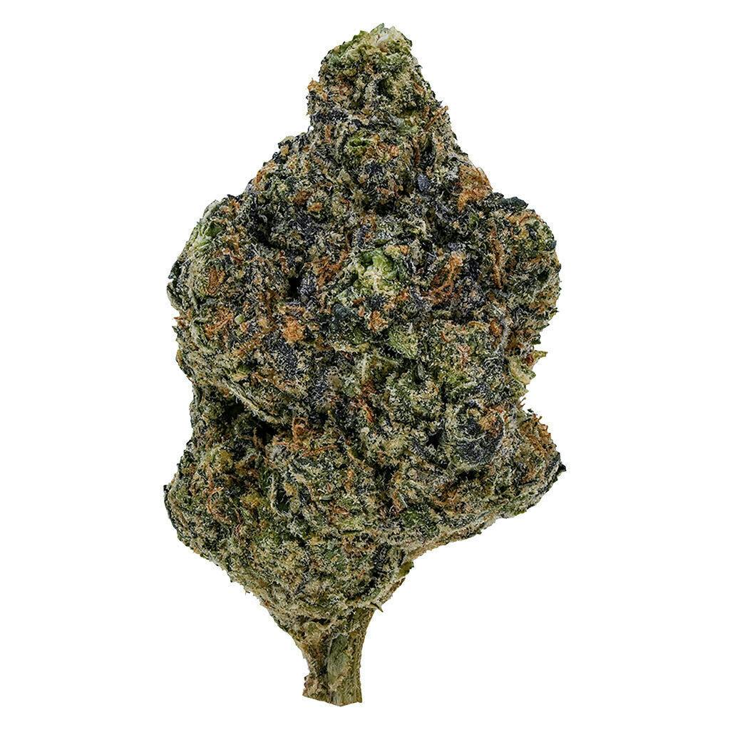 Gasolina 7g Dried Flower