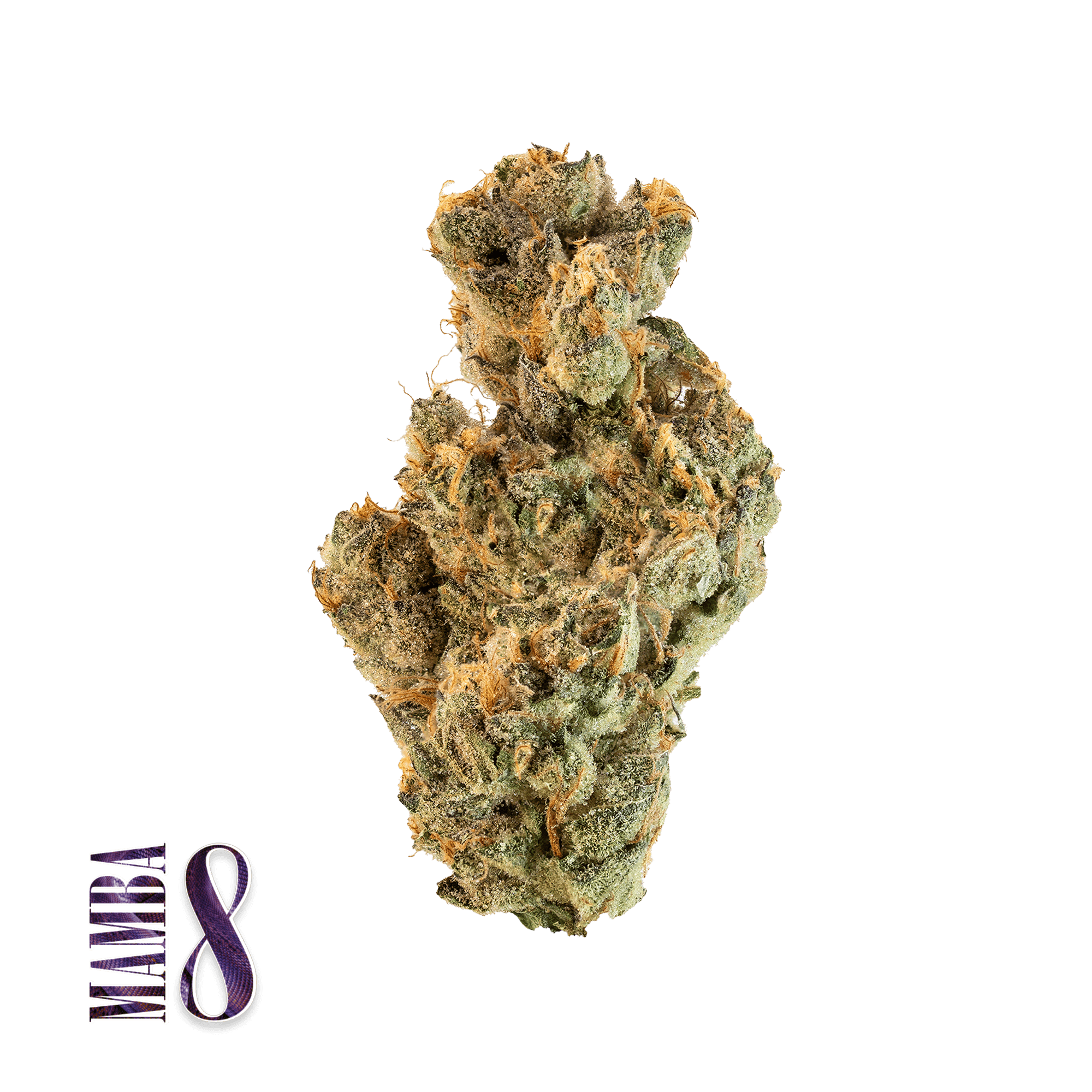 Traditional - Flower - Mamba 8 - 5G