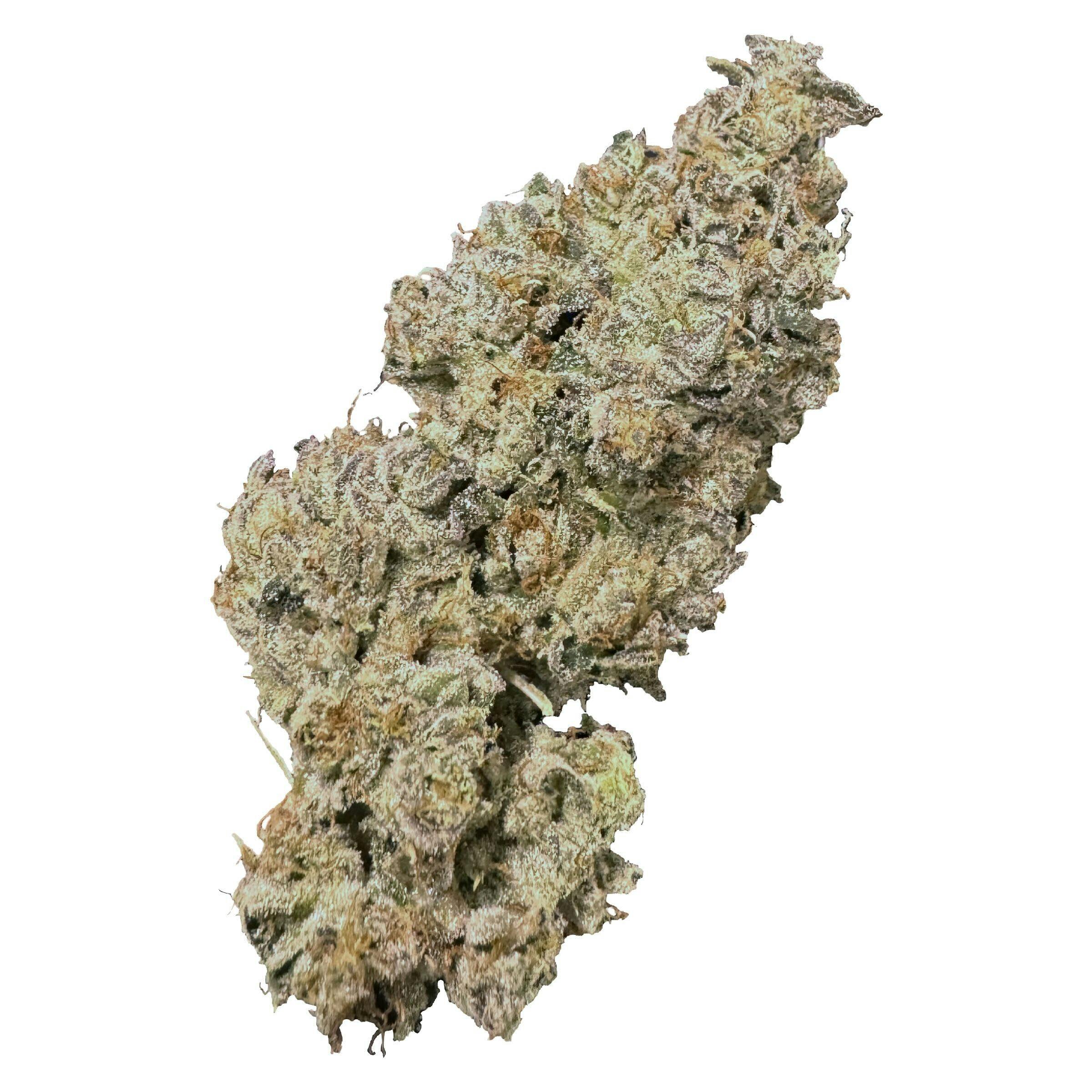 HIGHXOTIC - Royal Dive#1: Black Mountain Side 14g