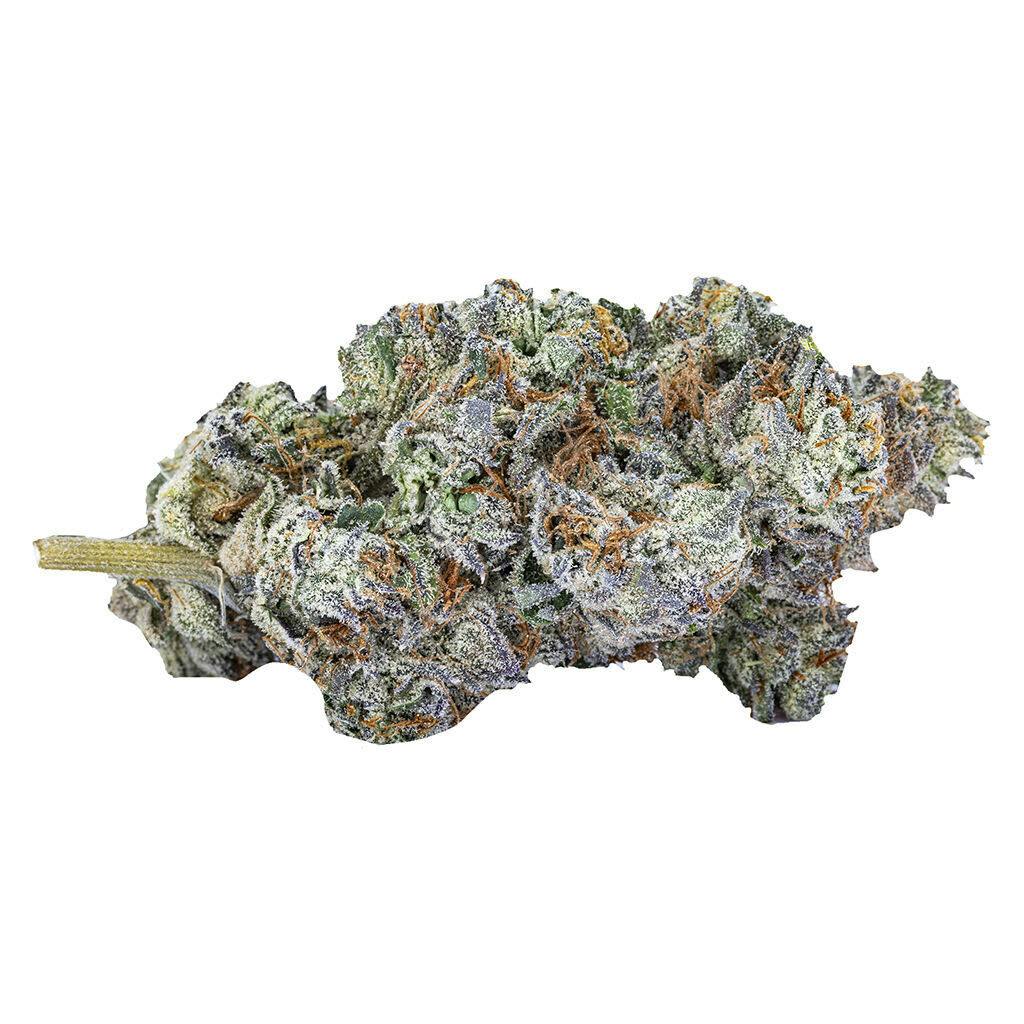 SIXTY SEVEN SINS - Mind Playa 7g