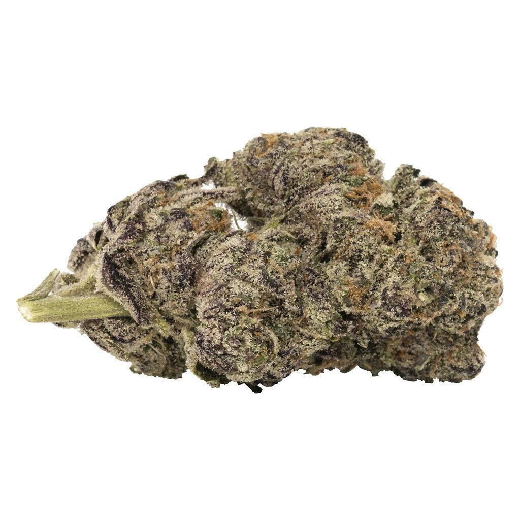 5 POINTS - Blueberry Yum Yum 3.5g