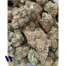GW-Sweet Pussy Deli