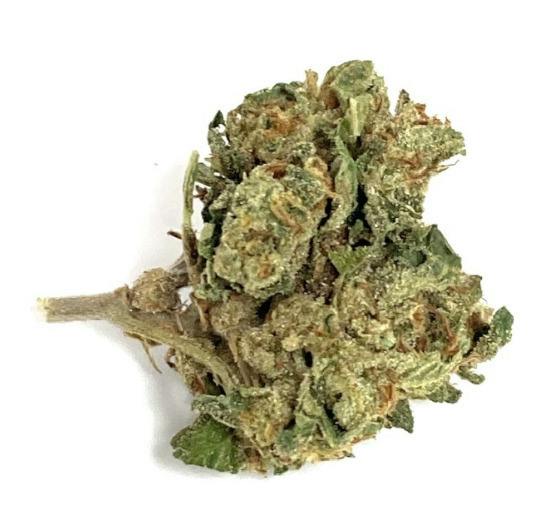 ANI-Oreoz Deli SATIVA