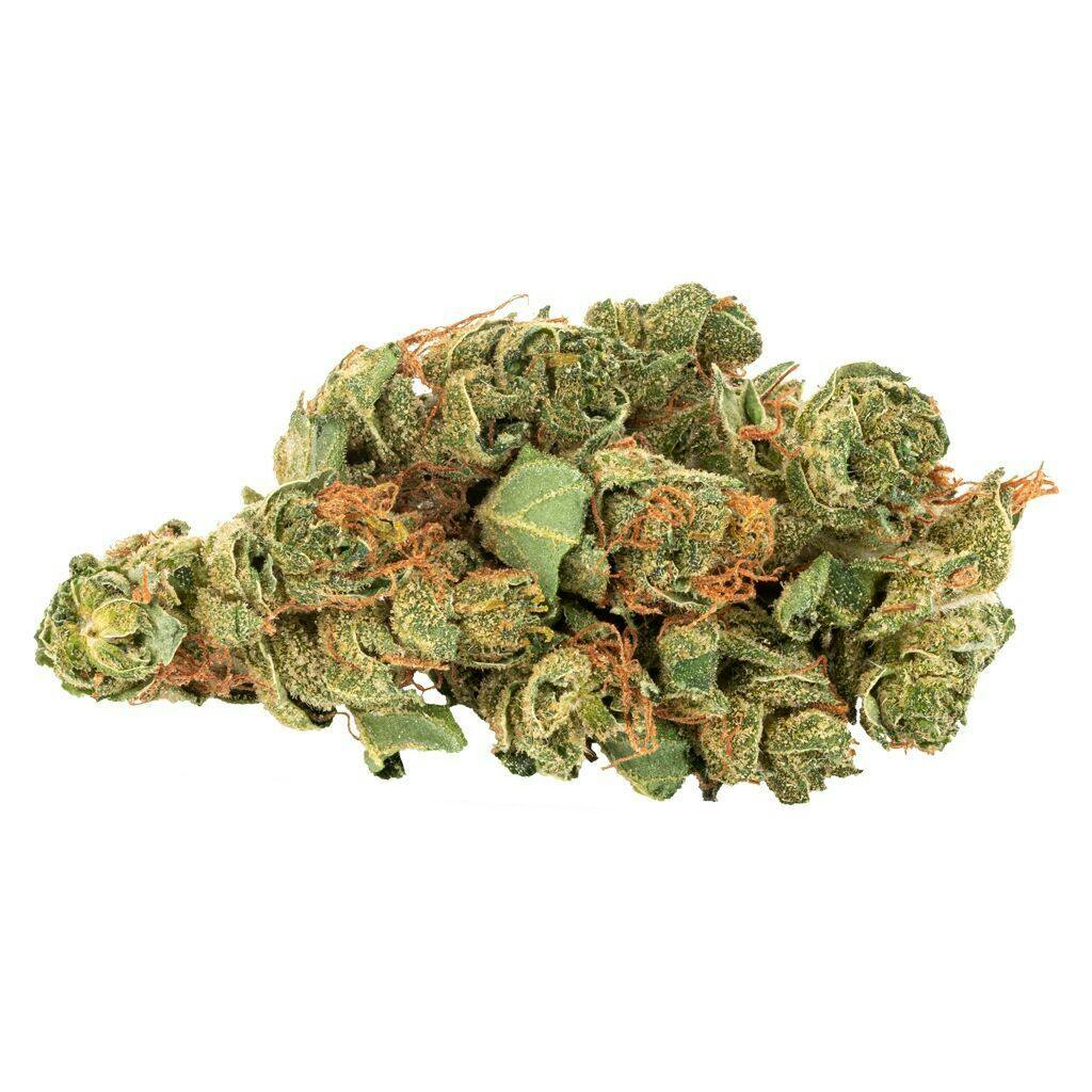 Daily Special - Daily Special Sativa - 15g