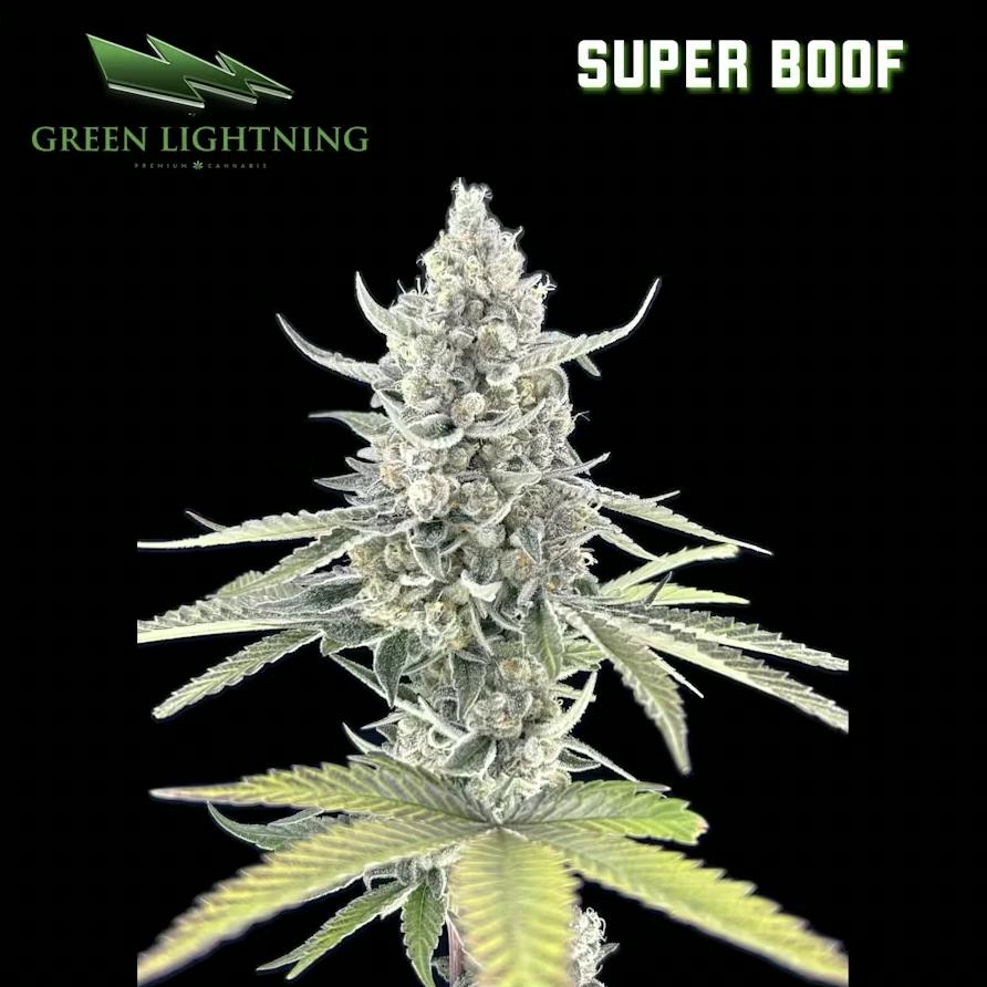 Super Boof