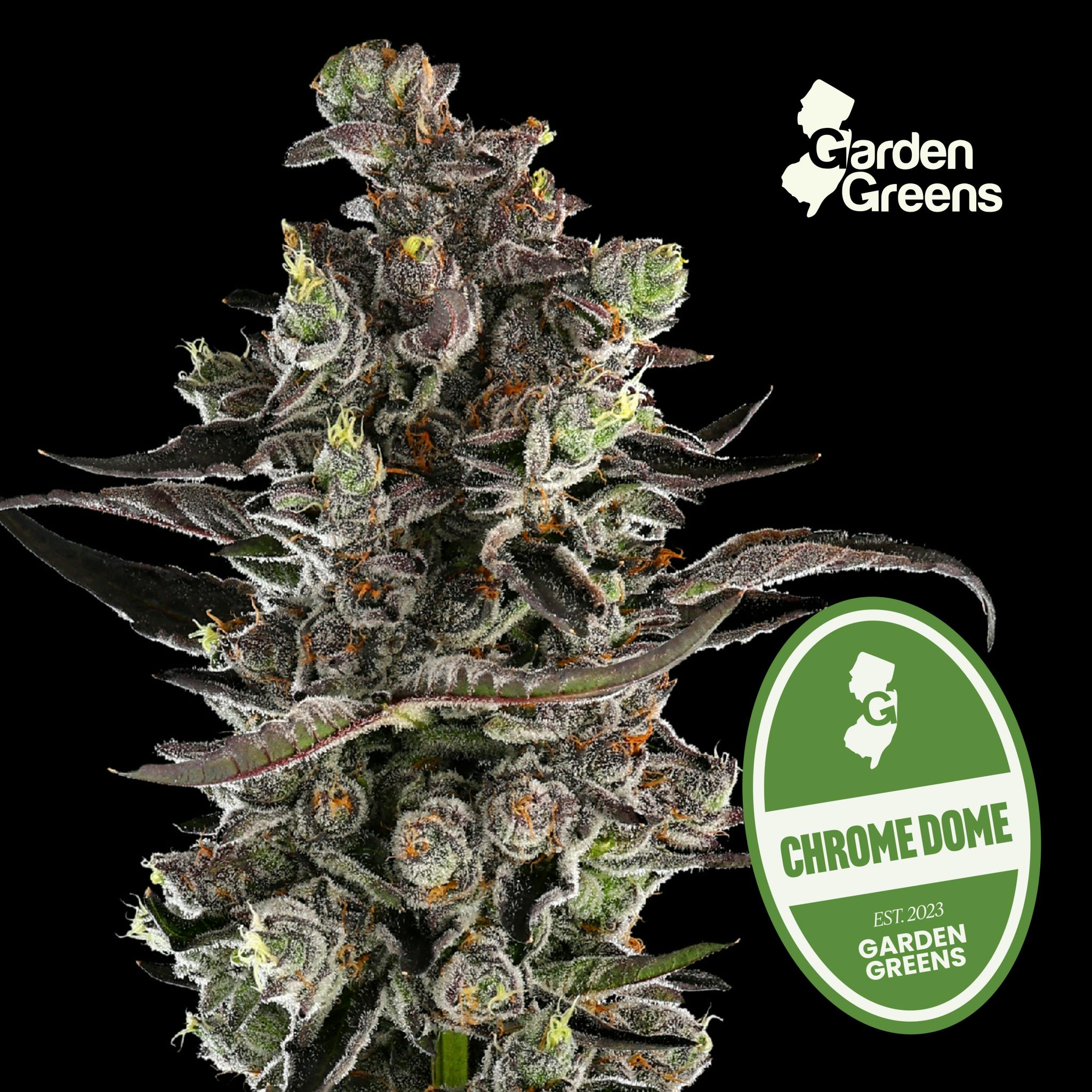 Chrome Dome