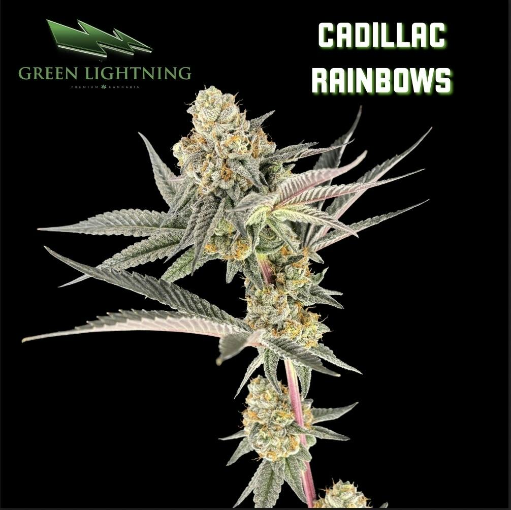 Cadillac Rainbows | 7g Smalls