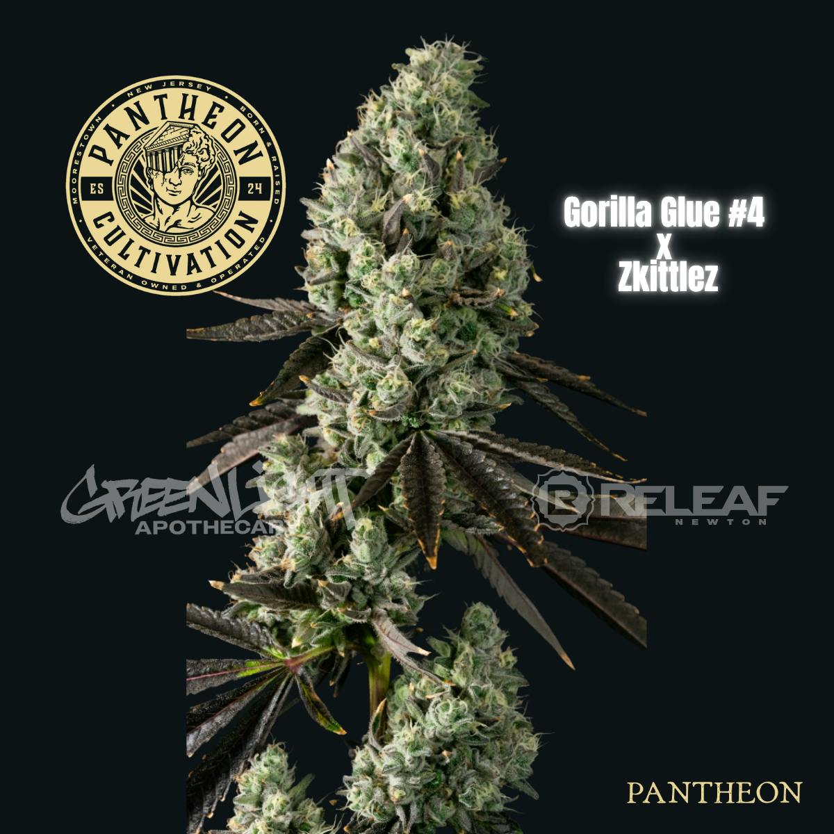 Gorilla Zkittlez | Small Batch