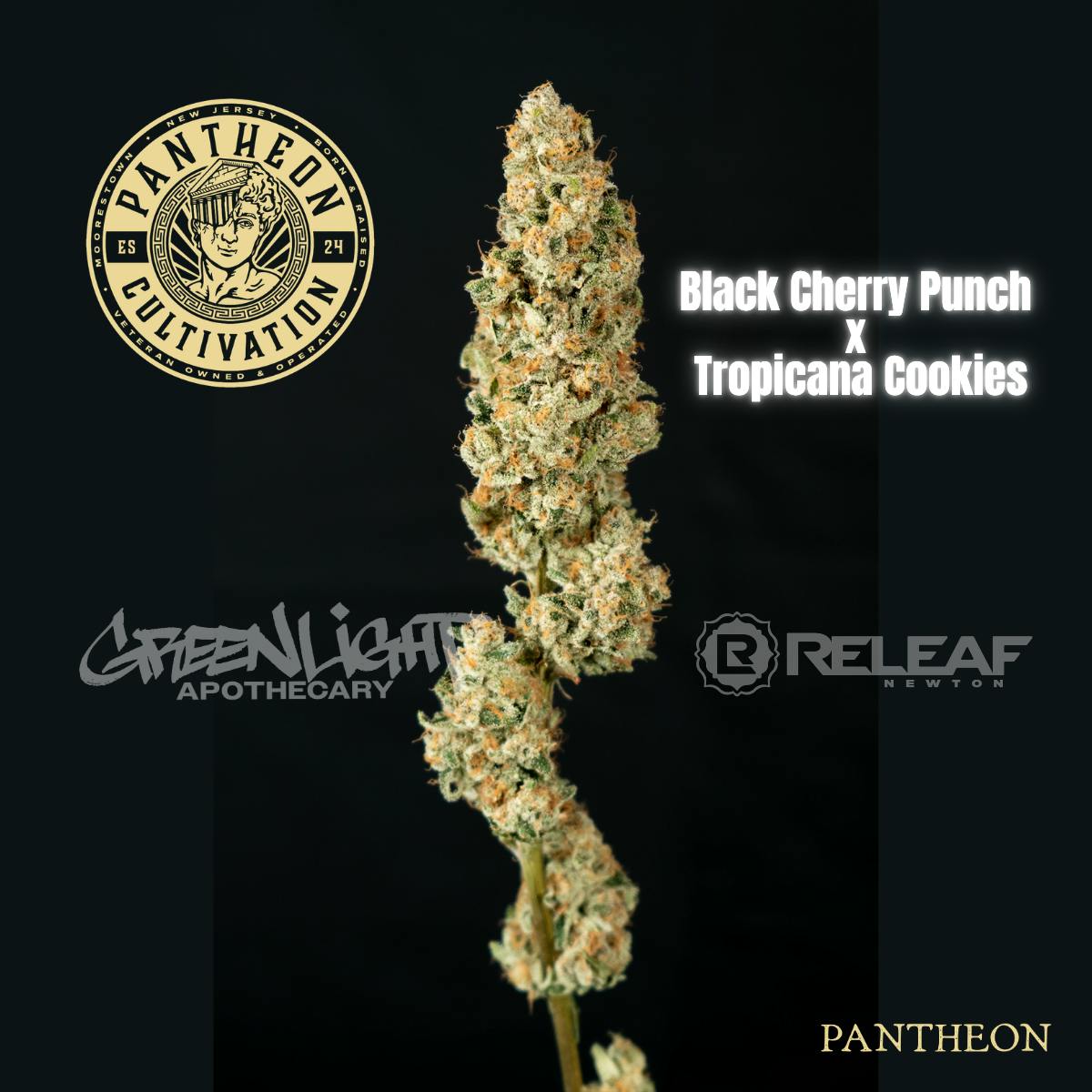 Super Boof | Small Batch | 14g