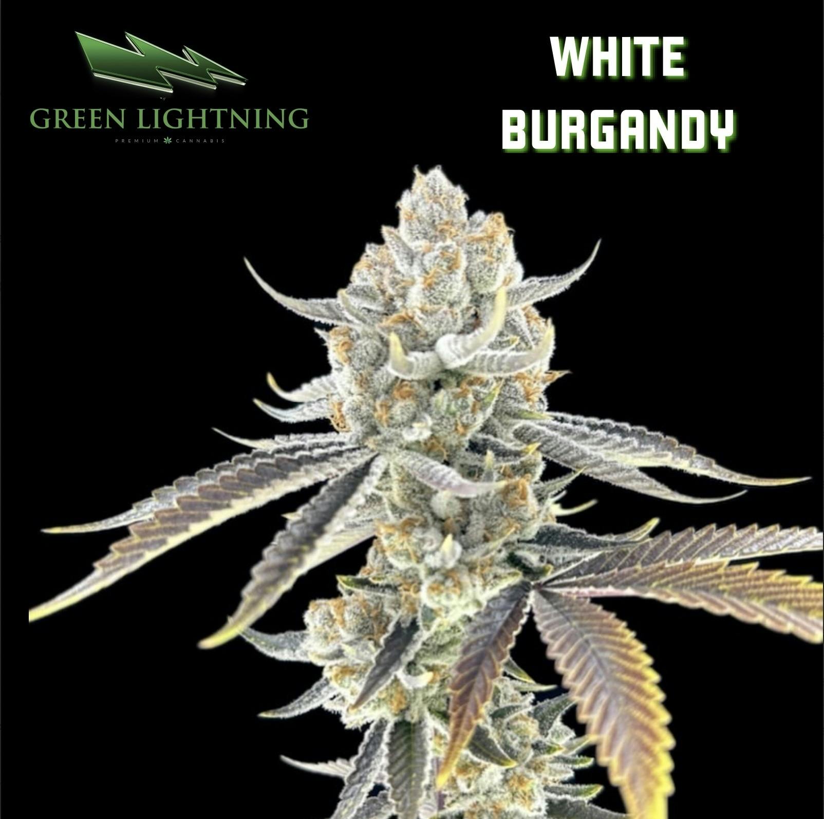 White Burgundy | Mixed Buds | 28g