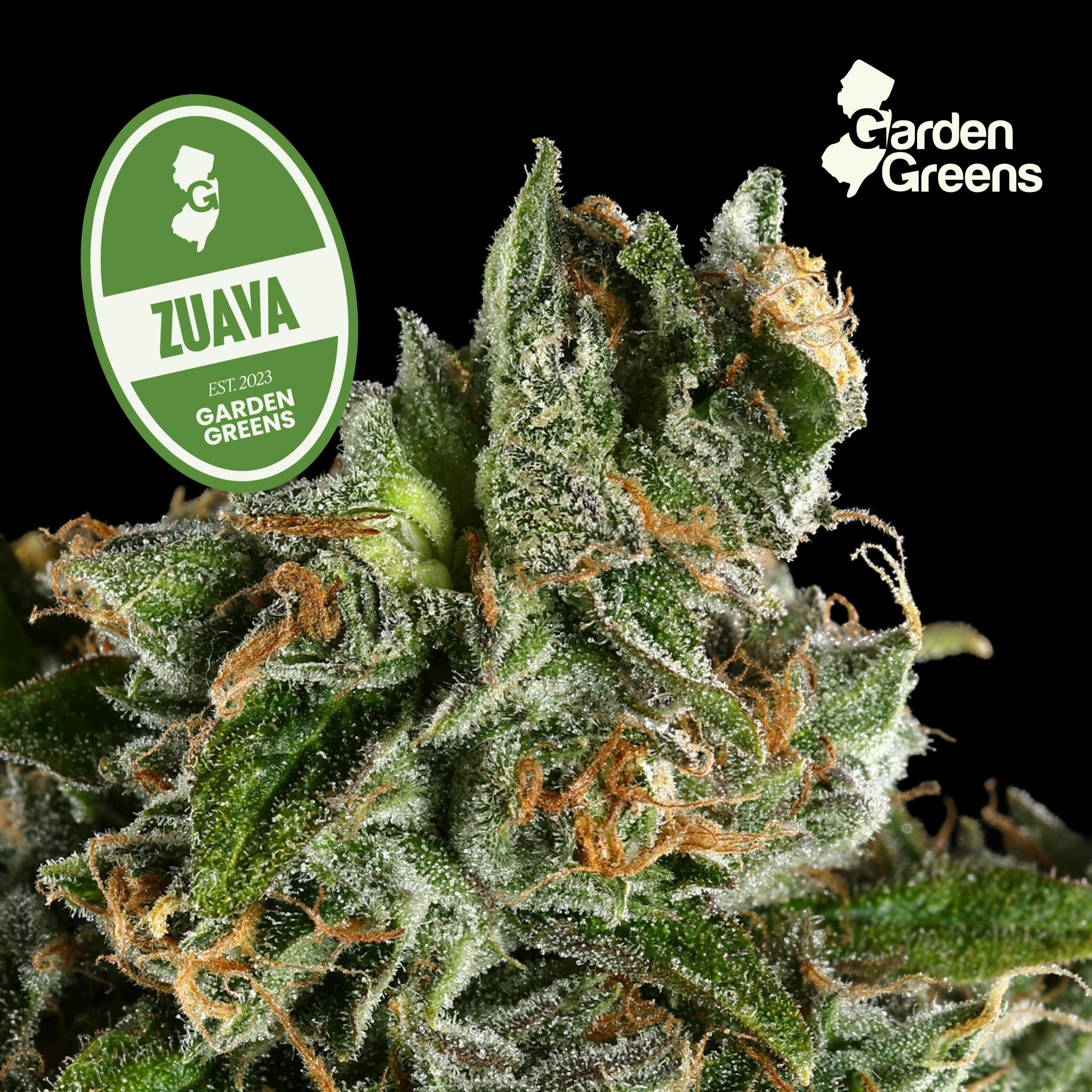 Zuava | Big Buds