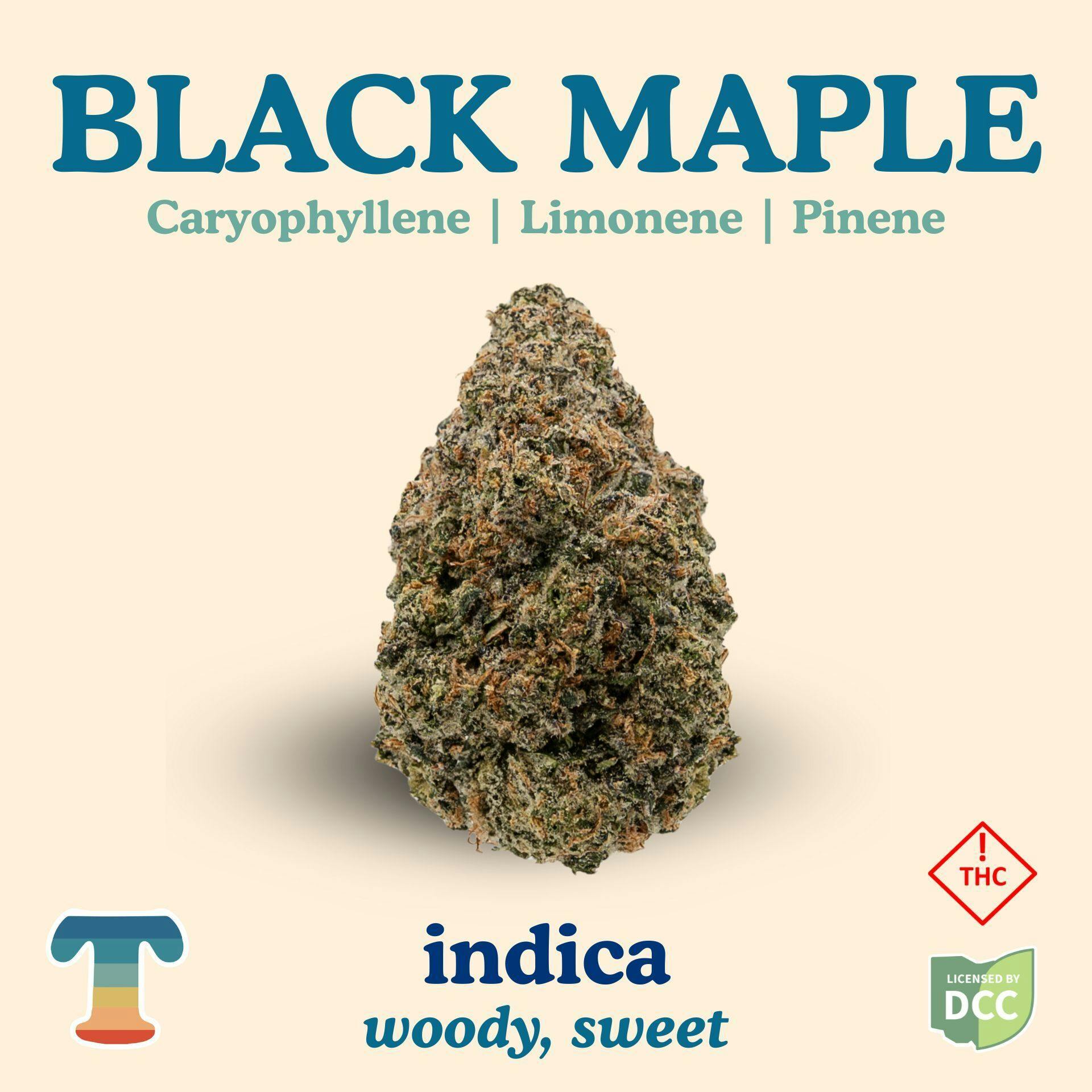 Treehaus | Black Maple