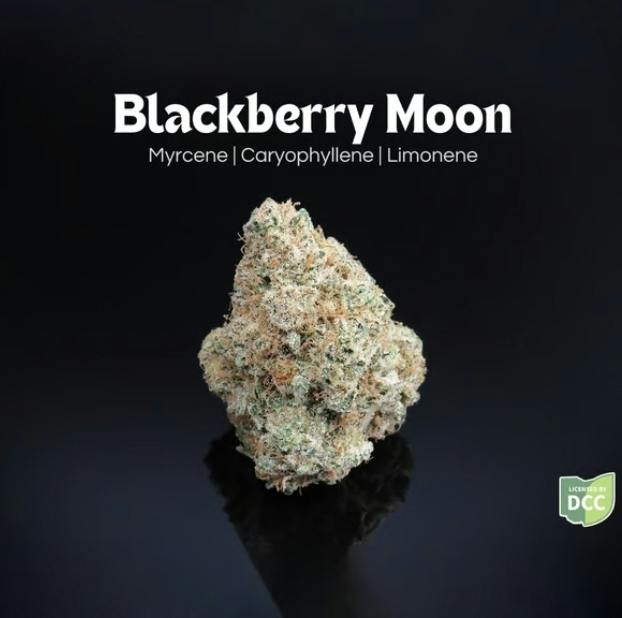 Farkas Farms | Blackberry Moon at ROAM Dispensary