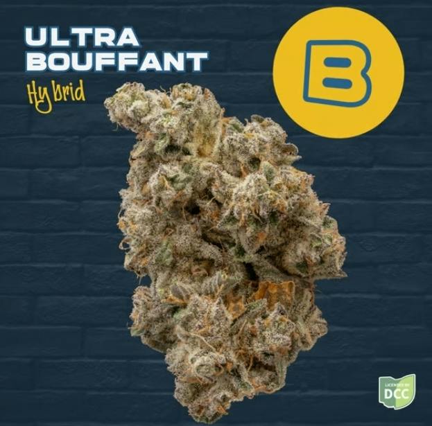 Buckeye Relief | Ultra Bouffant