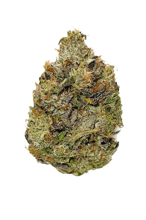 Salt Spring Magic Timmy's OG Shark 3.5g
