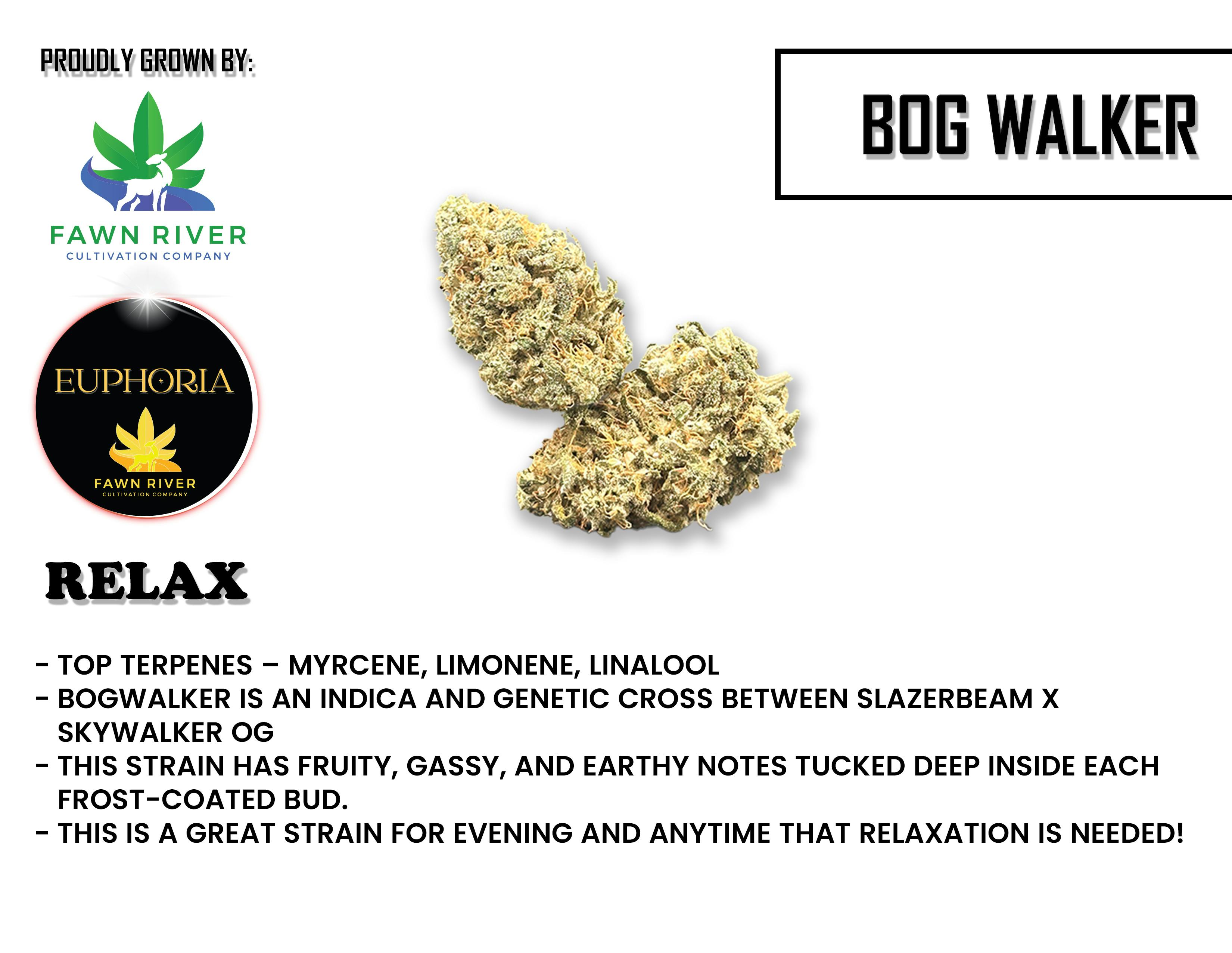 EUPHORIA - BOG WALKER