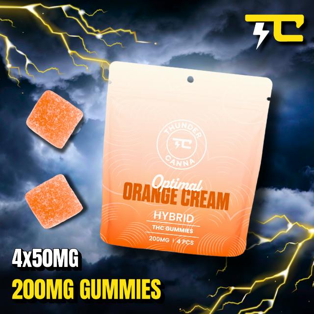 THUNDER CANNA - ORANGE