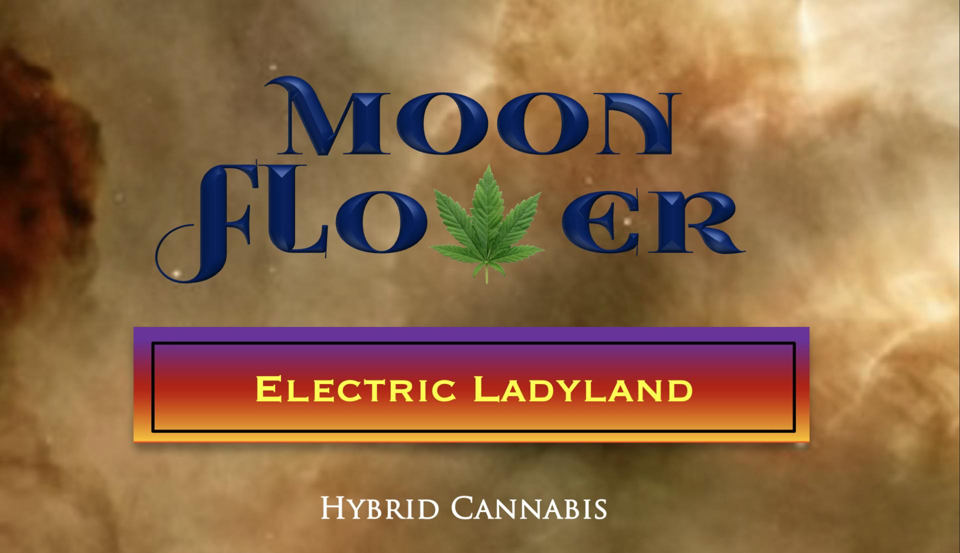 Moon Flower | Electric Ladyland | Hybrid | 3.5g