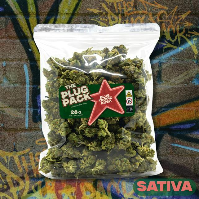 DF350 The Plug Pack | Blue Tropic Kush | Flower