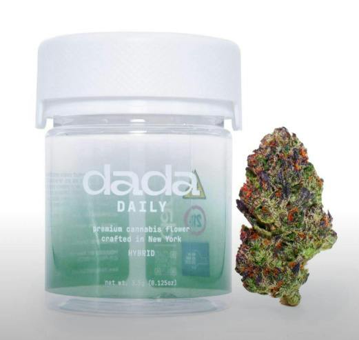 DF253 Dada | Govt Oasis | Dada Daily Flower