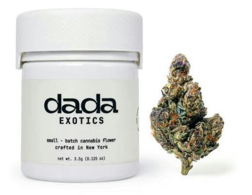 DF252 Dada | Peach Ringz | Dada Exotic Flower