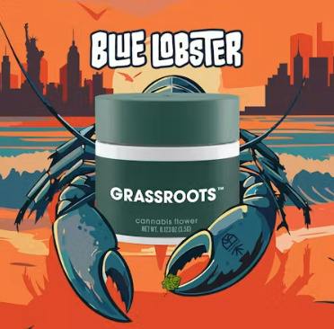 DF370 Grassroots | Blue Lobster | Flower