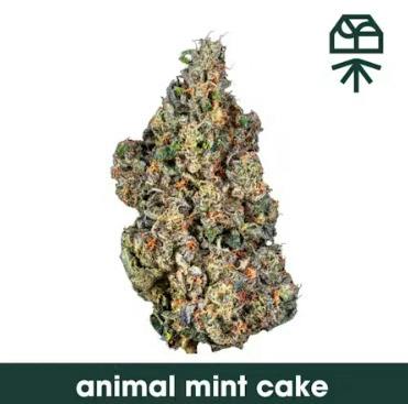 DF361 Grassroots | Animal Mint Cake | Flower