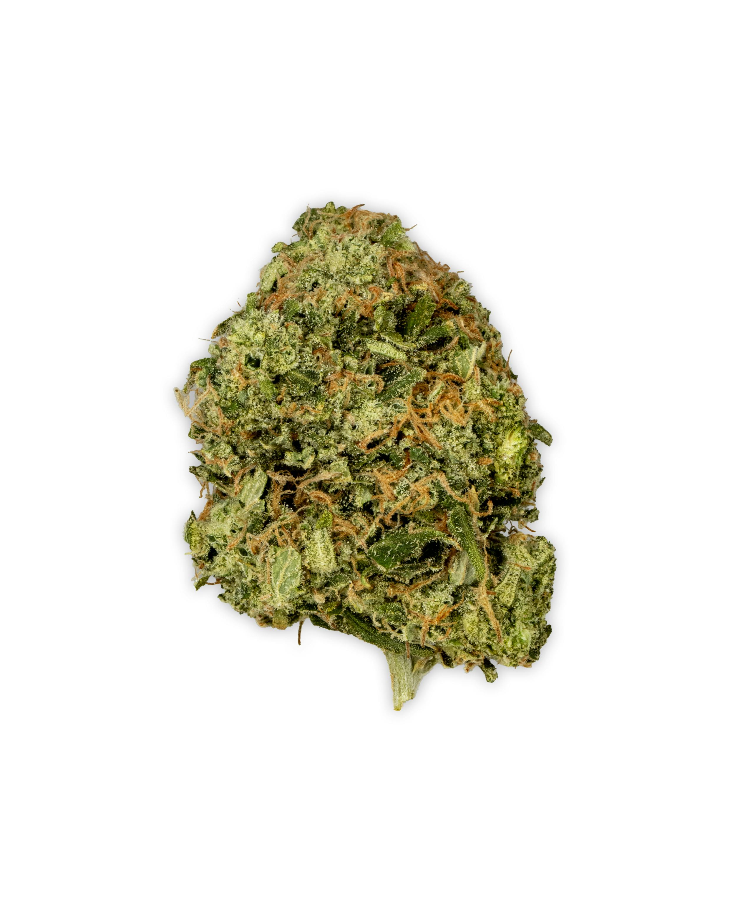 Indoor SOUR DIESEL