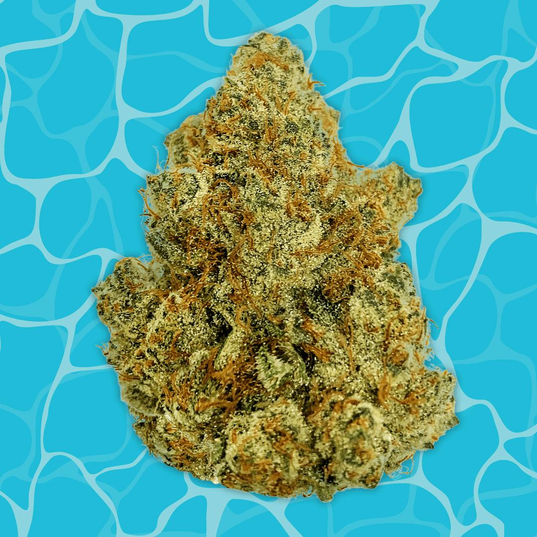 BUOYANT BOB | GAS CAKE | PRE-PACK | 3.5G | I/S