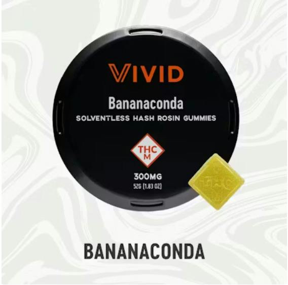 VIVID - BANANACONDA HASH ROSIN GUMMIES 10PK 300MG