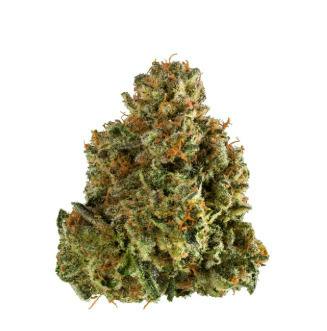 PROPER CANNABIS - CHEM FUEGO X CHEMD STARFIGHTER #7 28G HYBRID