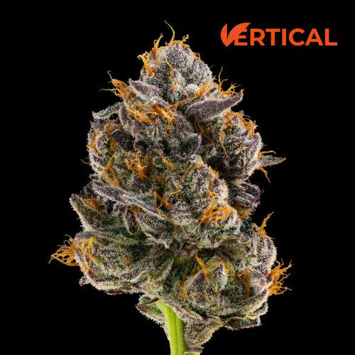 VERTICAL - BLUE ANDEZE PRE-GROUND FLOWER 14G I/S