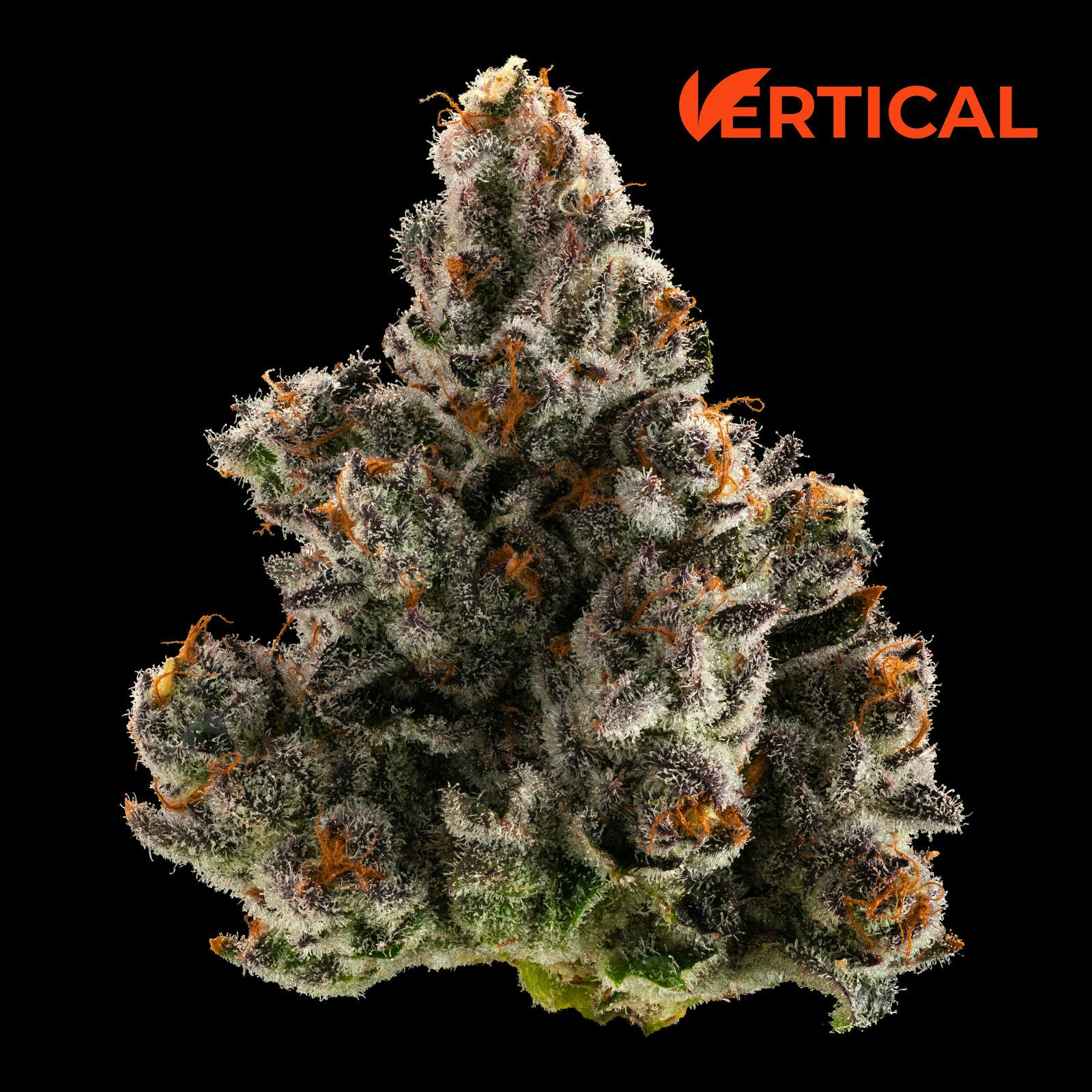 VERTICAL - CRAZY FOR CANDY 3.5G HYBRID