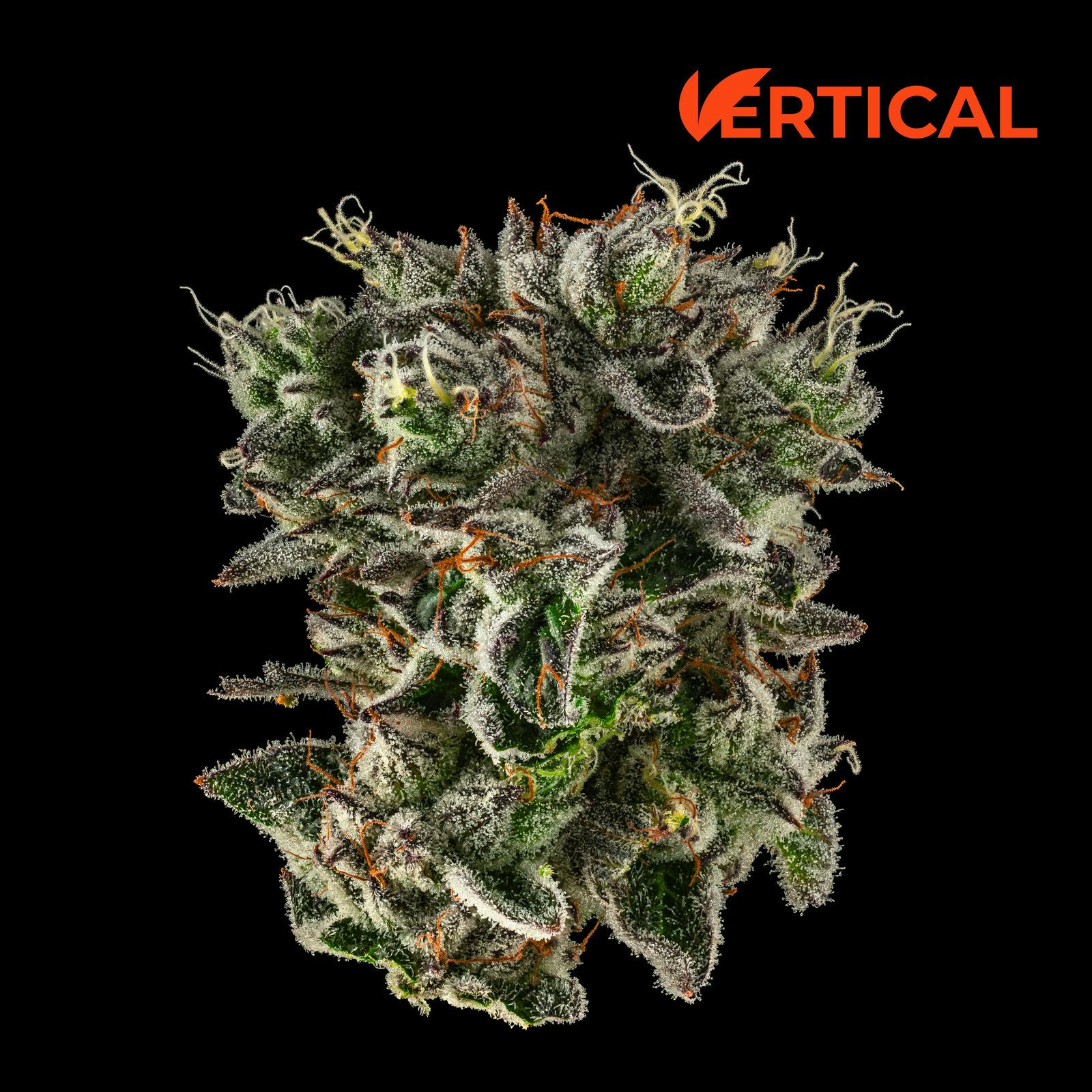 VERTICAL - STRAWBERRY ZOAP 3.5G INDICA
