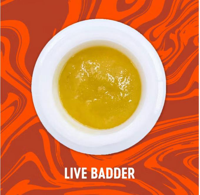 VIVID | CHERRY SORBERT | LIVE BADDER | 1.1G | HYRBID