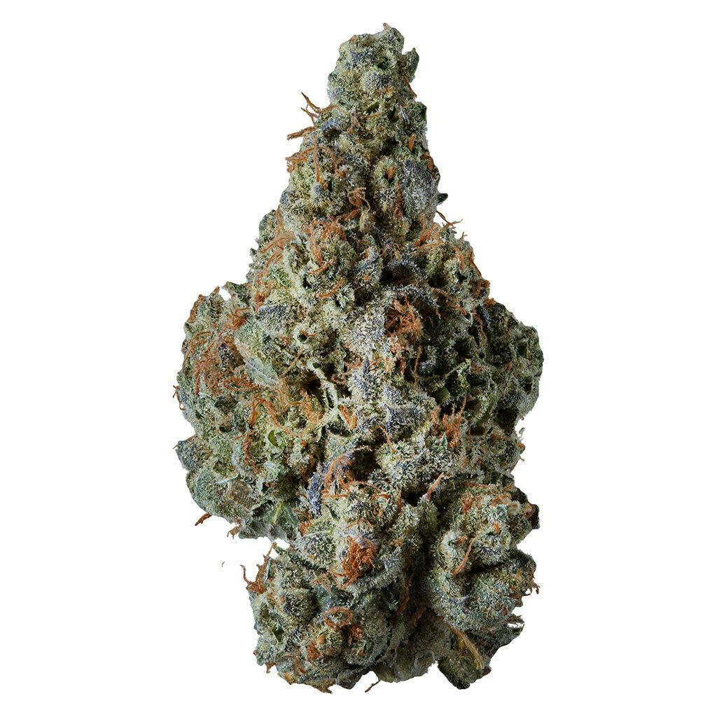Award-Winning Craft Flower 3.5g Dried Flower