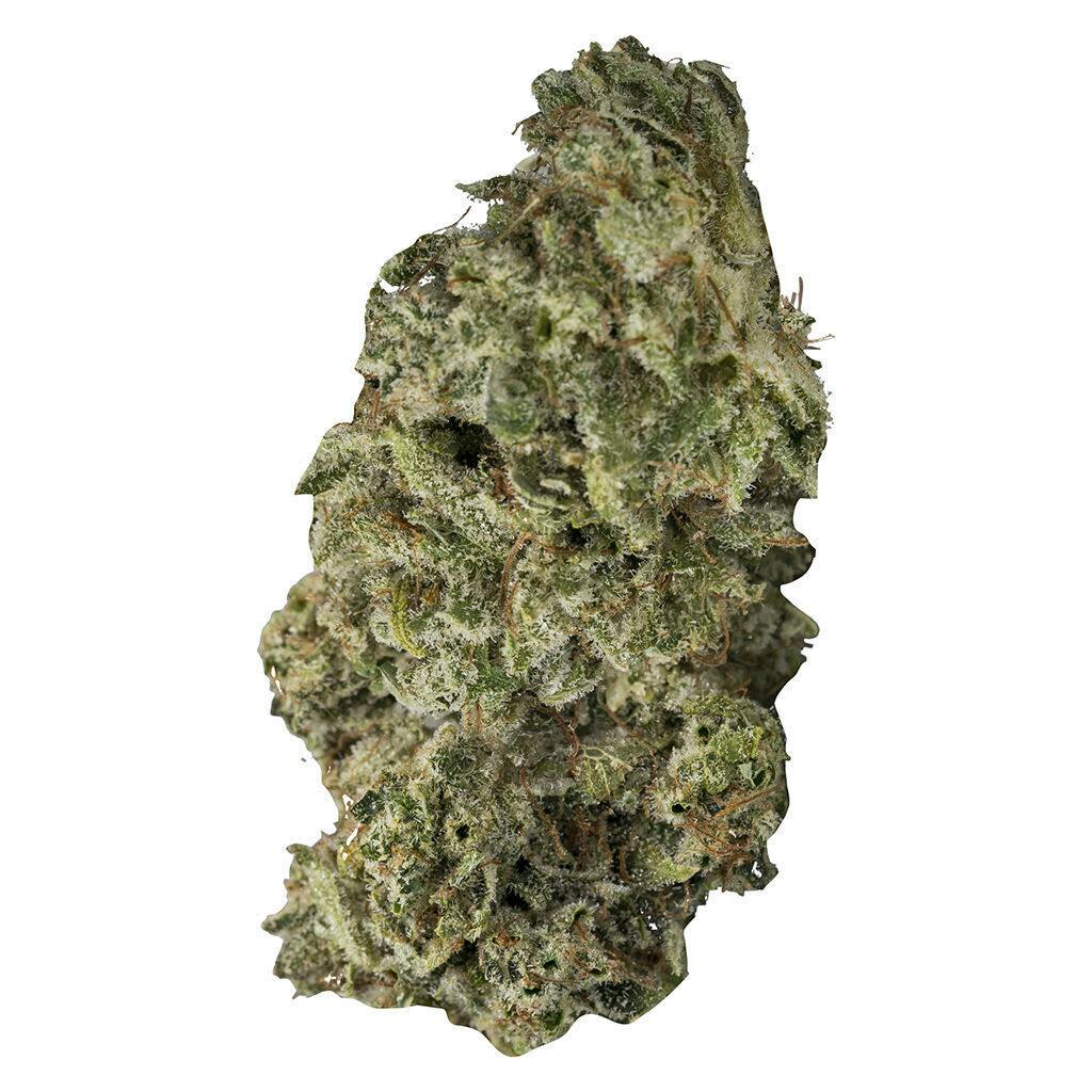 DBL Dutch 7g Dried Flower