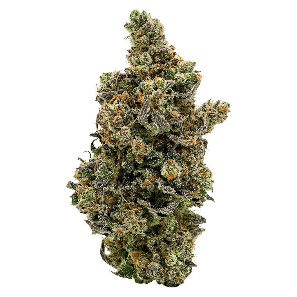 Kush Mintz 3.5g Dried Flower